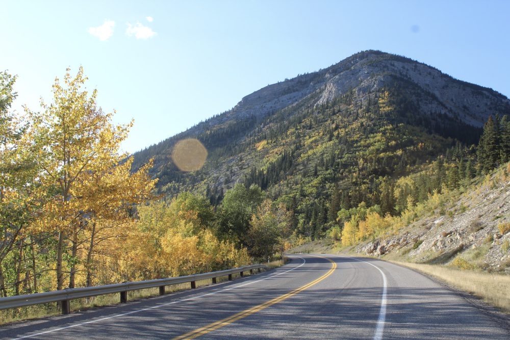 Highway through the foothills in autumn